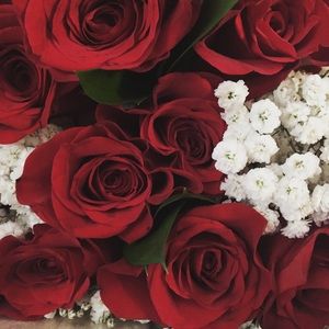 Meet your Posher, Batool